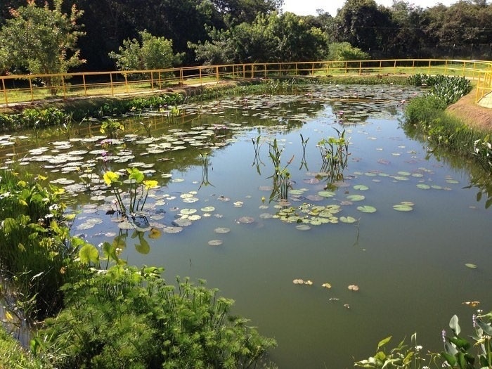 Resultado de imagem para Assinada ordem de serviÃ§o para a construÃ§Ã£o de jardins filtrantes nos Parques da Cidade e PajeÃº