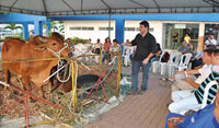 Veveu presente na exposição