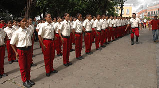 Bois e reisados
