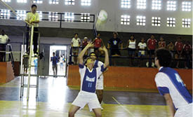 Bois e reisados
