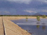 b16-06_03.GIF (21045 bytes)